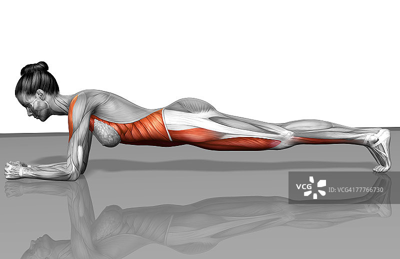 桥梁练习图片素材