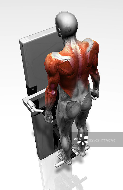 双杠臂屈伸（2/2）图片素材