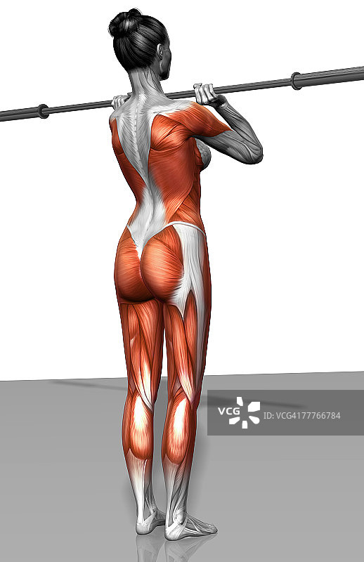 前蹲练习（2之2）图片素材