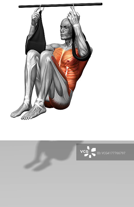 悬挂抬腿（1/2）图片素材