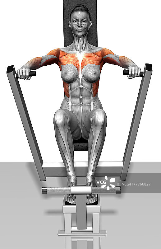 杠杆卧推图片素材