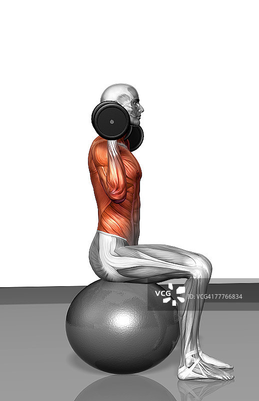 哑铃过头推举图片素材