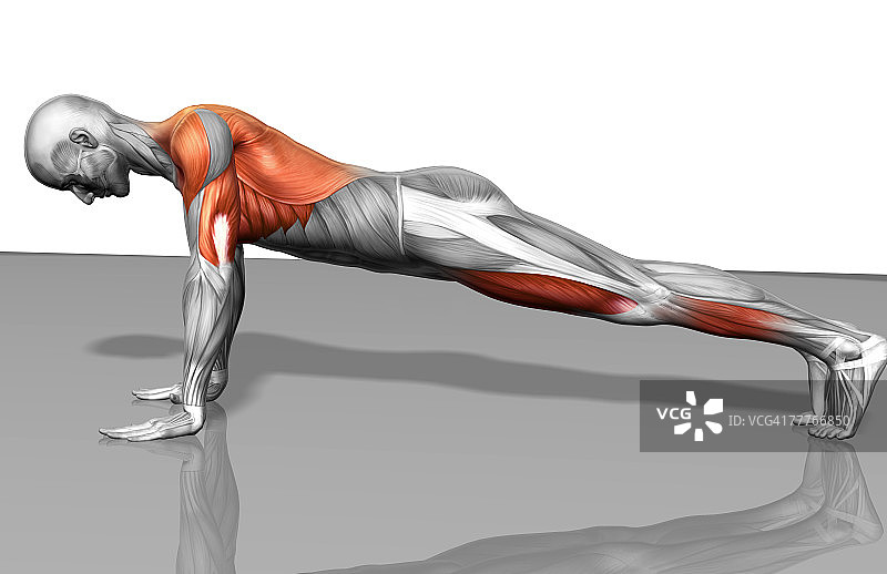 俯卧撑（二之二）图片素材