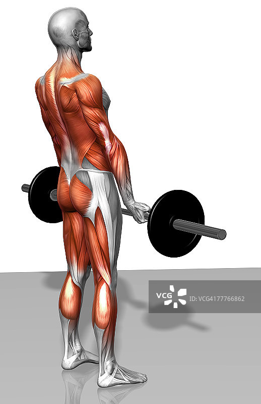 罗马尼亚硬拉（2之2）图片素材