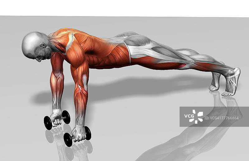 塞坦塔俯卧撑（2/2）图片素材