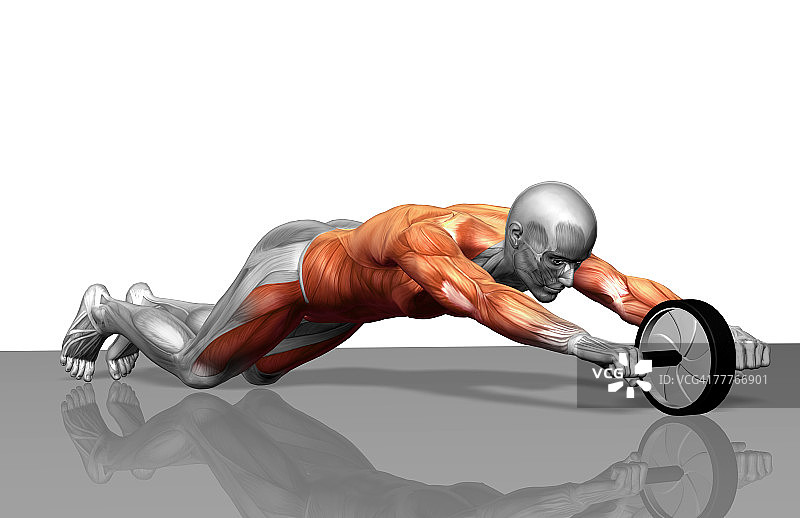 健腹轮运动图片素材