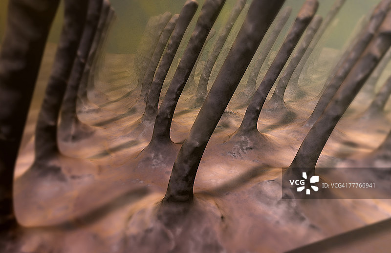 呼吸系统疾病图片素材