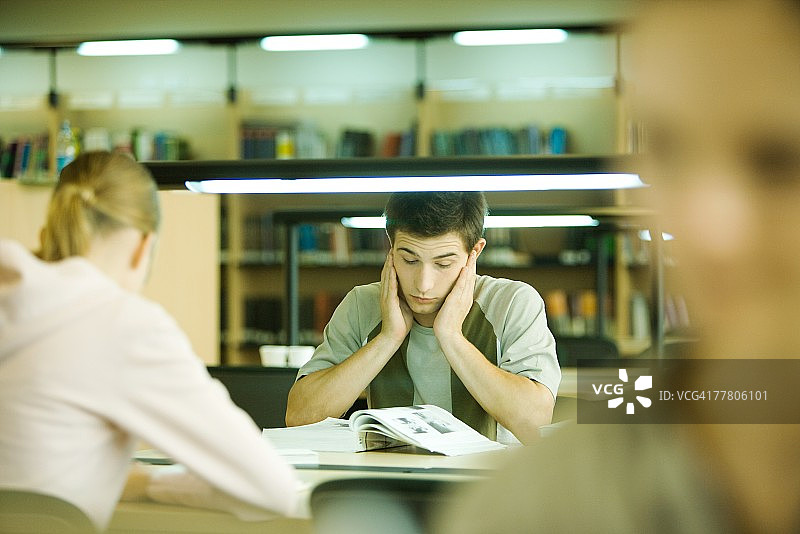 学生在图书馆学习图片素材