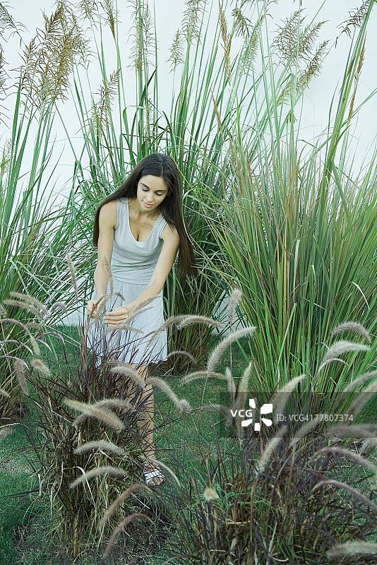 站在观赏花园里，弯腰看树叶的女人图片素材
