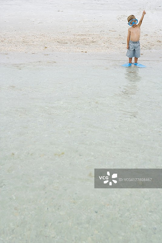 小男孩在浅水中戴浮潜面罩和脚蹼图片素材