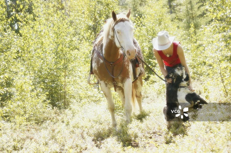 牛仔女郎与马和狗图片素材