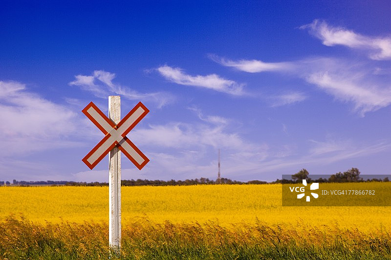 油菜田边的道路标志图片素材
