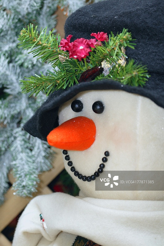 雪人特写图片素材