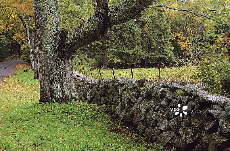 乡村石墙风景图片素材
