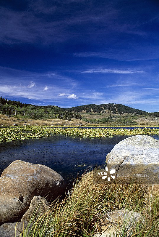 比尔图斯山脉睡莲池上的巨石图片素材