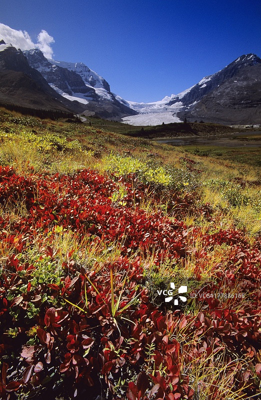 班夫国家公园哥伦比亚冰原图片素材