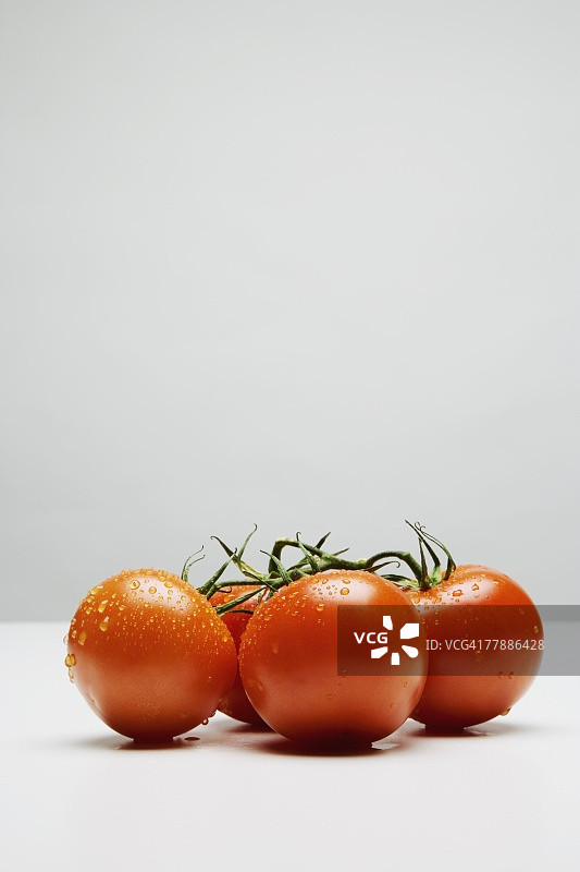 西红柿图片素材