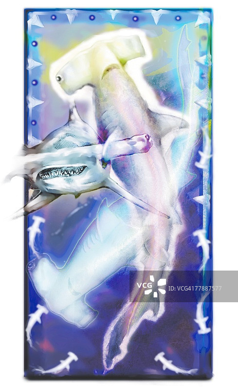 锤头鲨图片素材