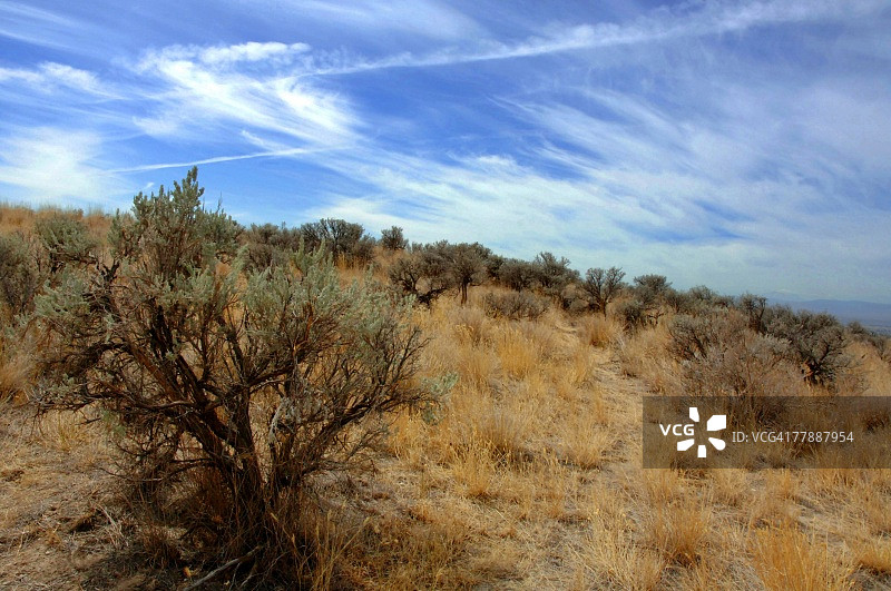 贫瘠的土地图片素材