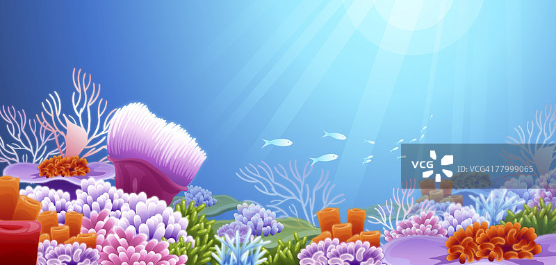 水下畅游的鱼群图片素材