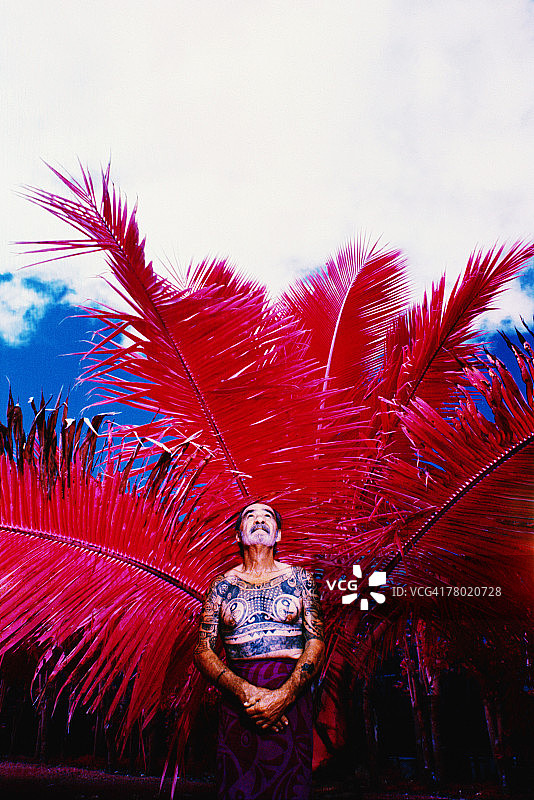 在棕榈树下有传统纹身的男人图片素材