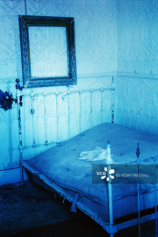 THC0020330图片素材