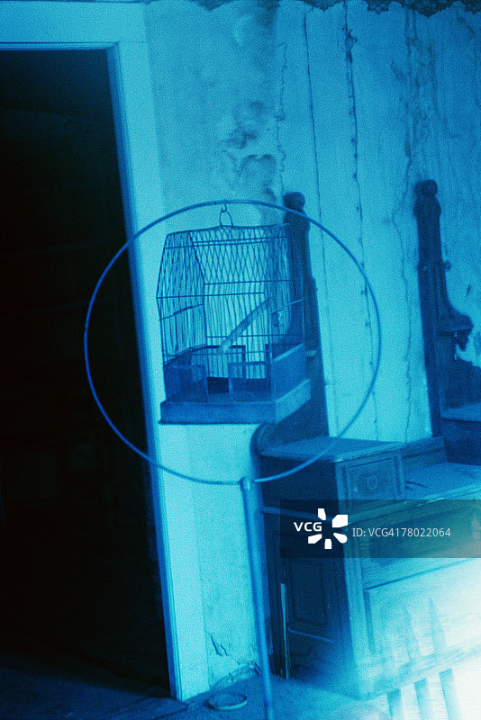 THC0020359图片素材