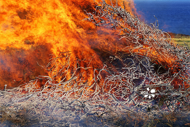 夏威夷毛伊岛燃烧的大火焰中枯枝特写图片素材