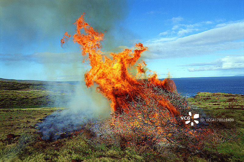 卡胡拉韦岛海岸附近，枯树枝上巨大的舞动火焰的广阔航拍图；夏威夷毛伊岛图片素材