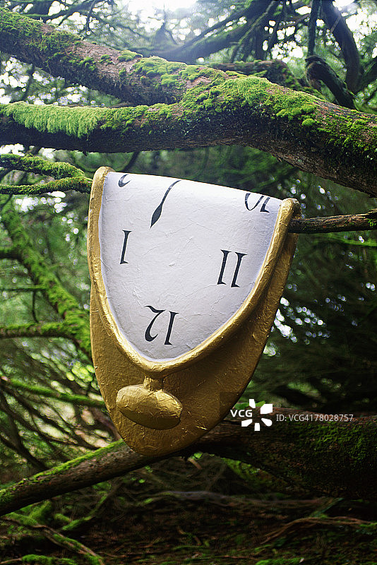 THC0022154图片素材