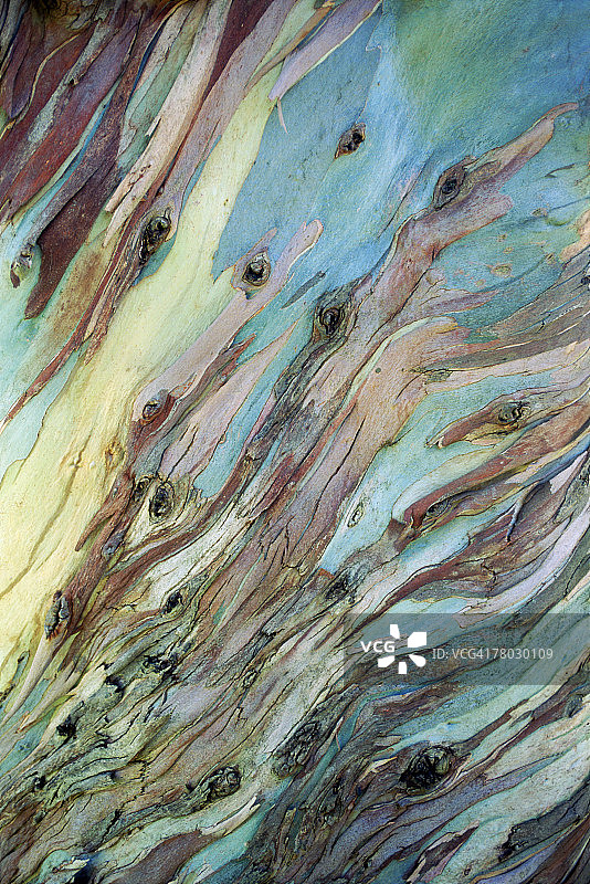 THB0009633图片素材