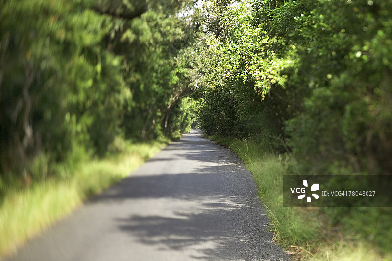 农村公路图片素材