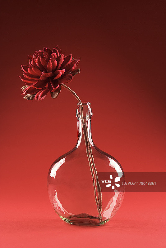 花瓶中的花朵图片素材