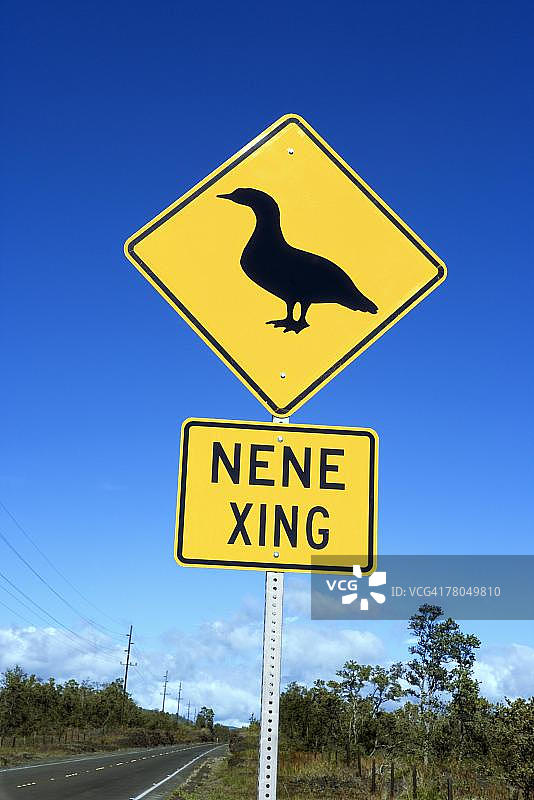 夏威夷Nene鹅穿越道路标志图片素材