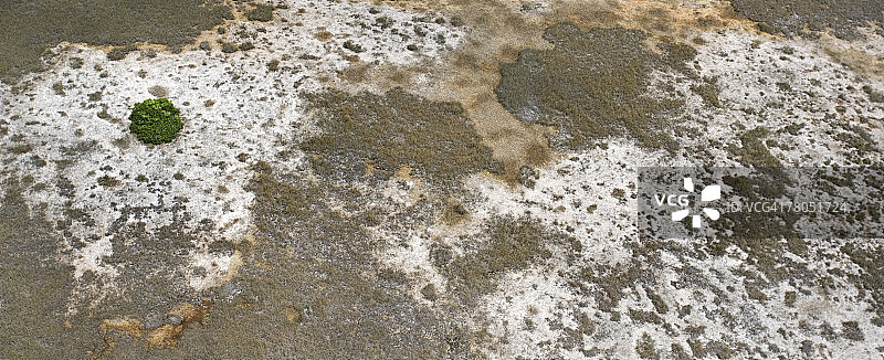 佛罗里达大沼泽地盐沼的航拍景观图片素材