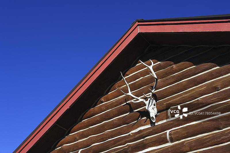 小木屋上的鹿头骨图片素材