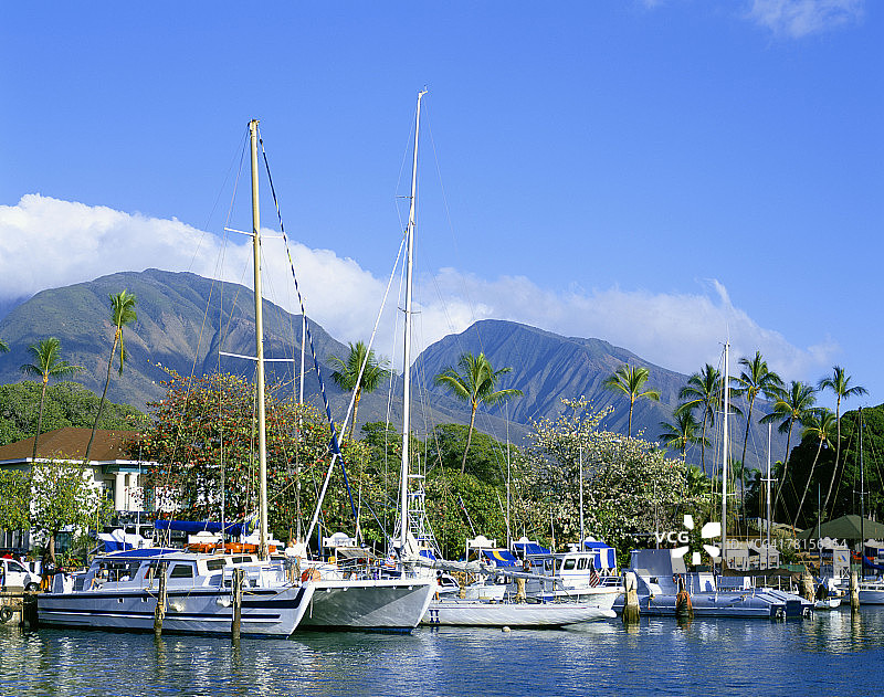 夏威夷毛伊岛拉海纳游艇港图片素材