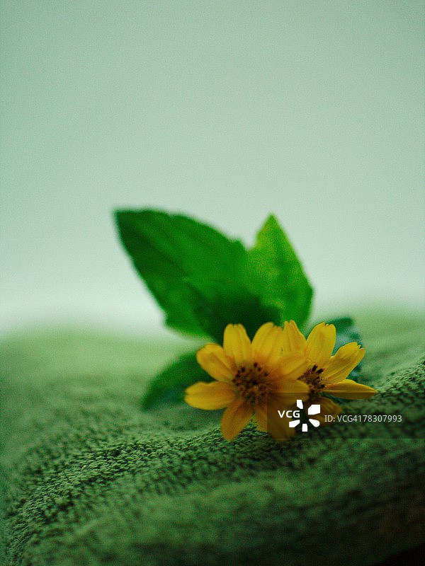 毛巾上的鲜花特写图片素材