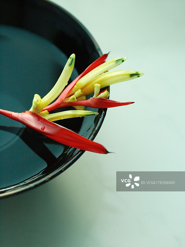 碗里的蝎尾蕉花高角度视图图片素材