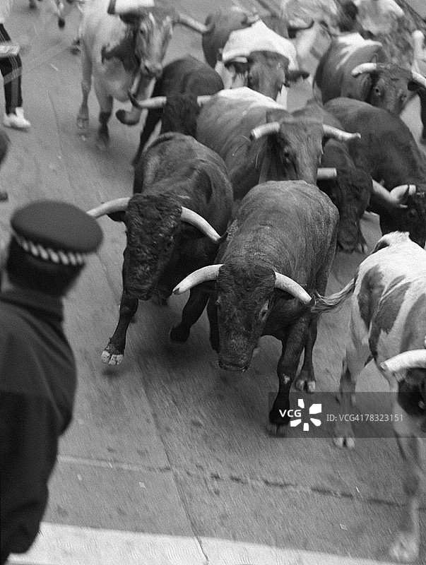 西班牙潘普洛纳奔牛节图片素材