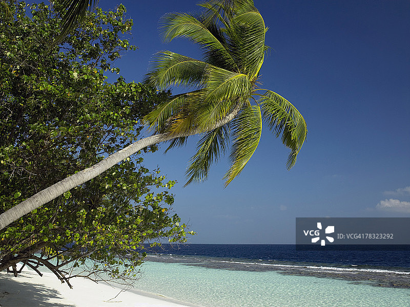 热带海滩图片素材