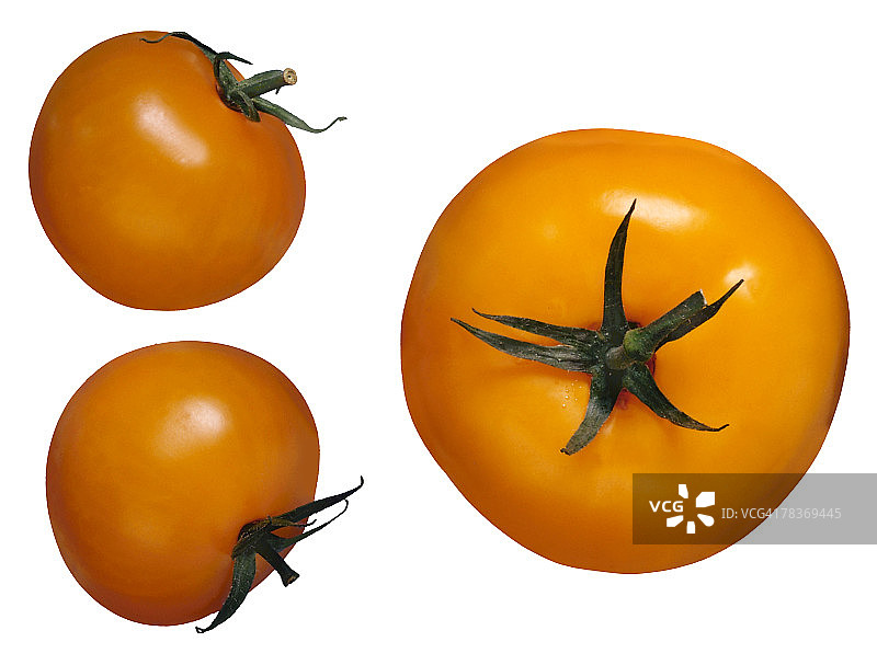 黄番茄图片素材