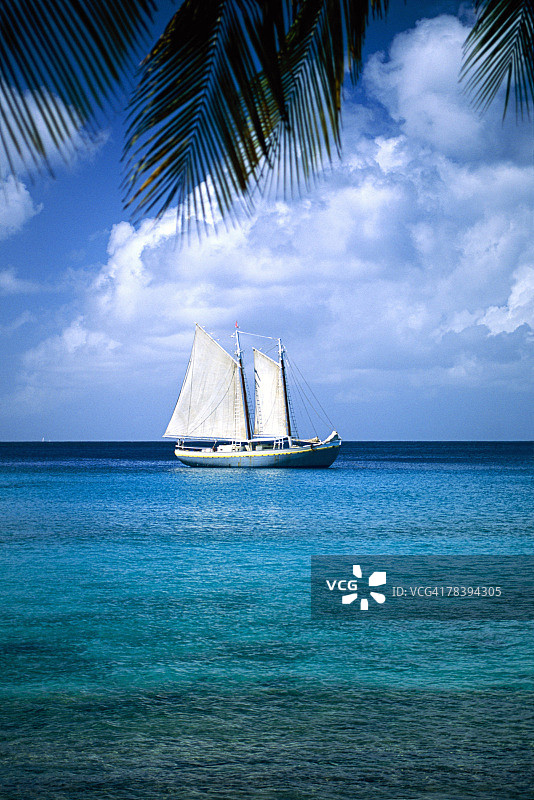 格林纳丁斯穆斯蒂克岛的帆船图片素材