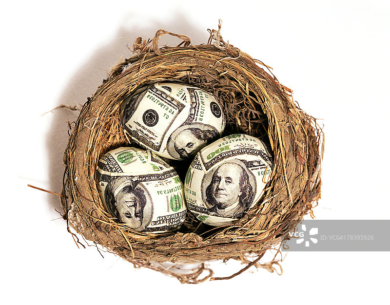 鸟巢里的百元美钞图片素材