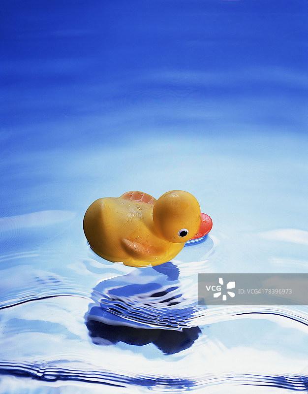 漂浮在水上的橡胶鸭图片素材