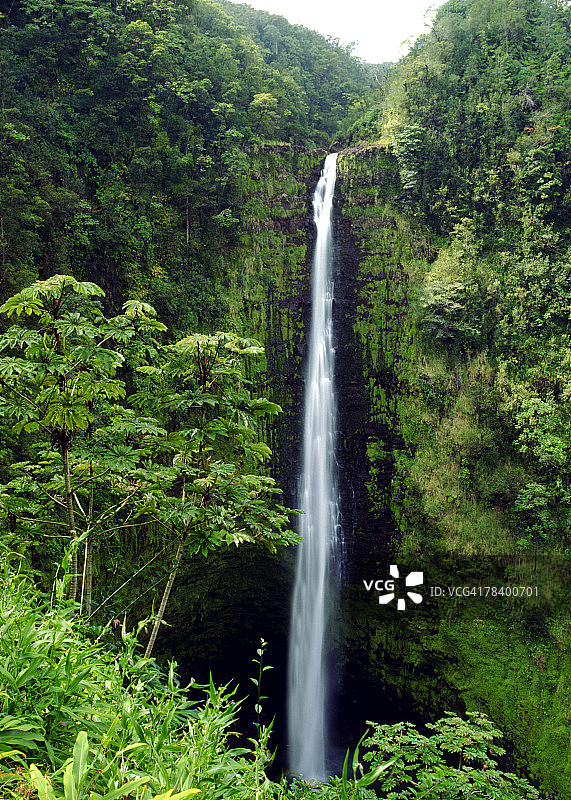 夏威夷阿卡卡瀑布图片素材