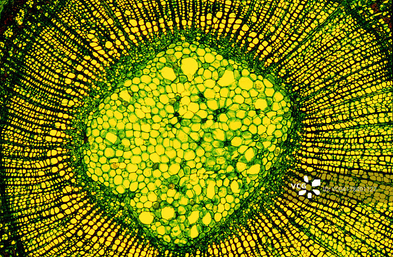 抽象的图案图片素材