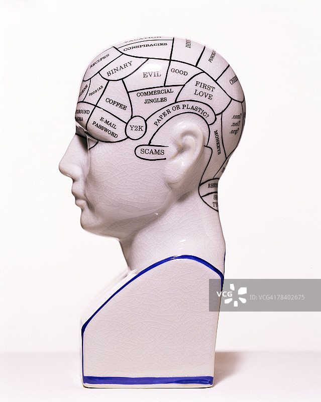 关于大脑图片素材