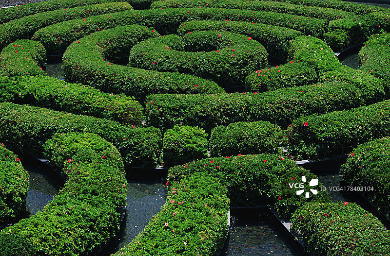 花园迷宫图片素材