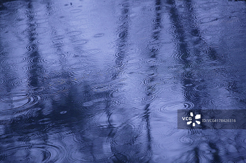 湿地上面的雨滴图片素材